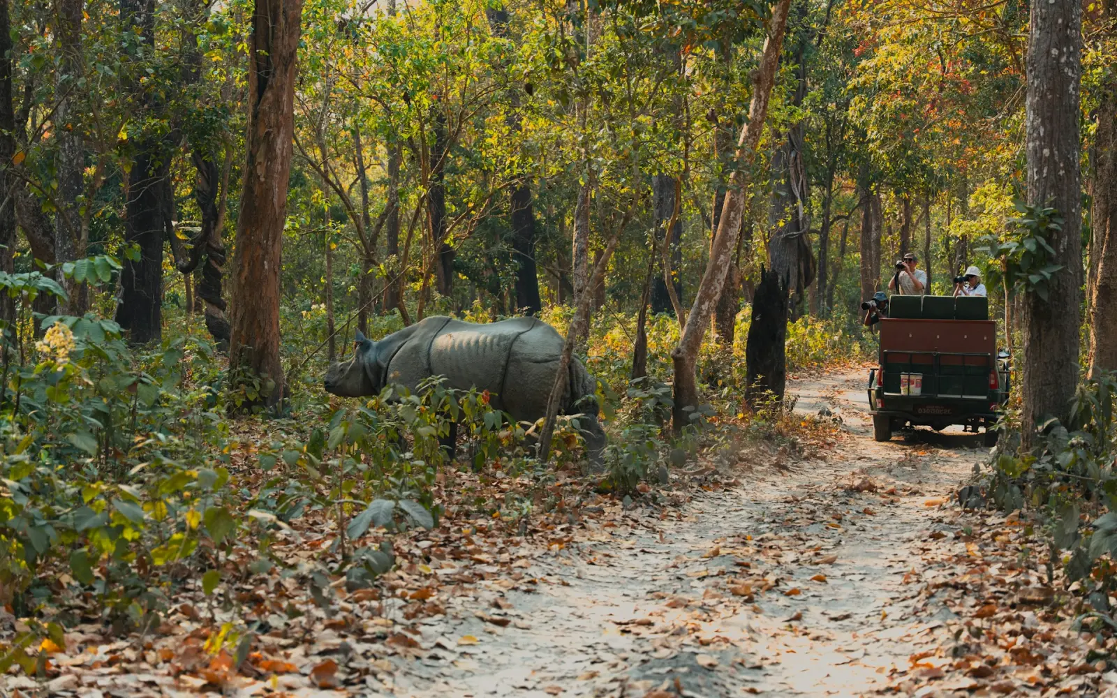 Top 10 Must-Visit Destinations in Nepal